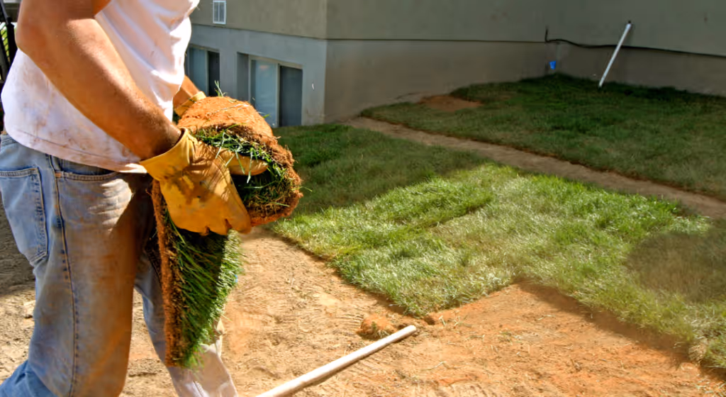 Landscaping bid manager reviewing site plans